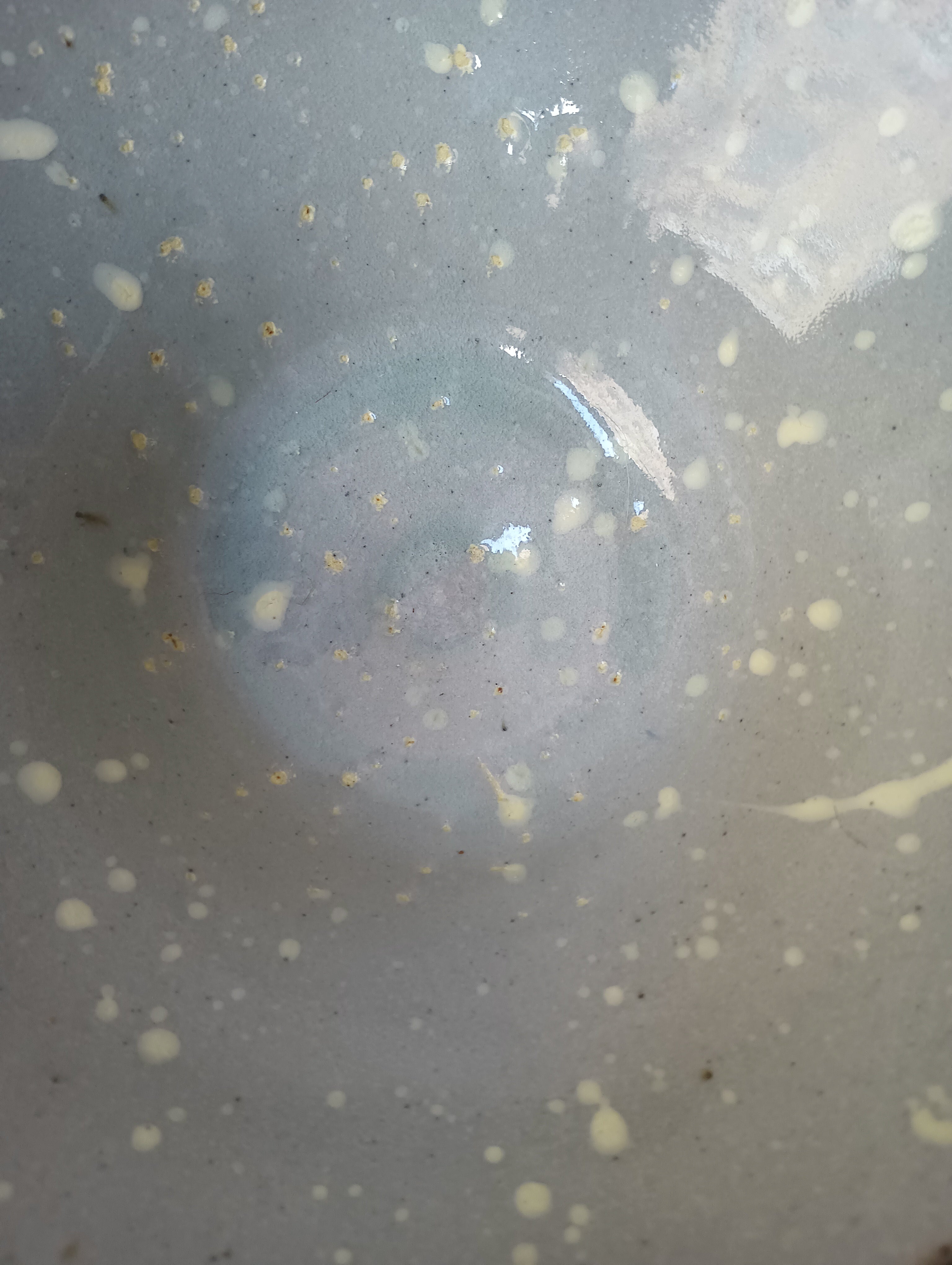 Bianca Simonian Specked Bowl